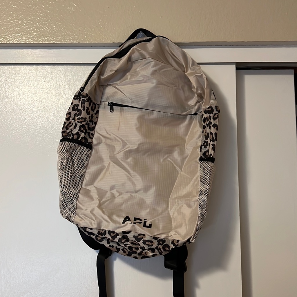All-Purpose Packable Backpack